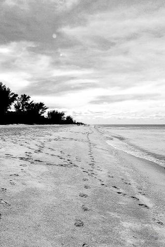 ©jfw 1009 Florida-5000