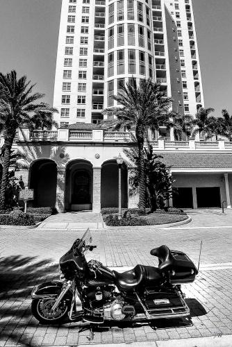 ©jfw 1009 Florida-5014