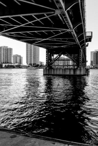 ©jfw 1009 Florida-5018