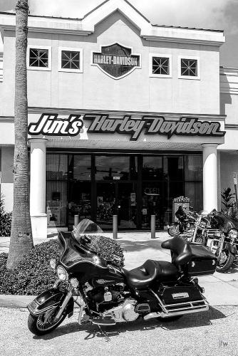 ©jfw 1009 Florida-5023