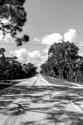 ©jfw 1009 Florida-5027