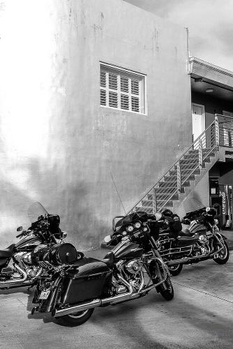 ©jfw 1009 Florida-5034